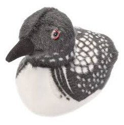 18242 Aud II Common Loon