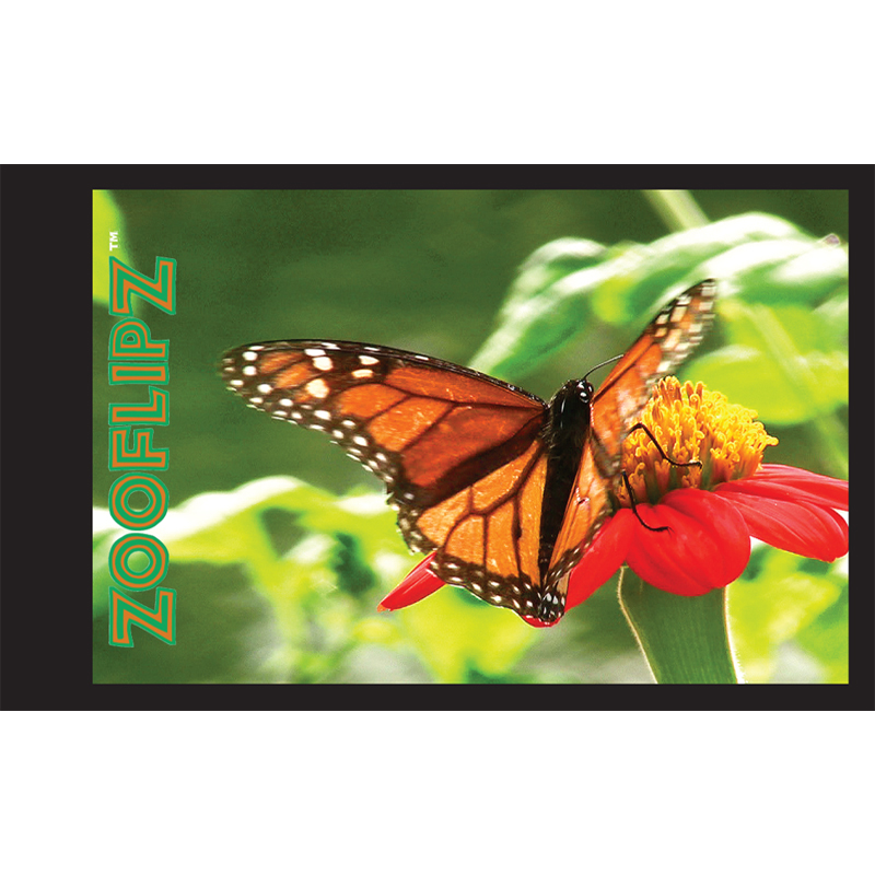 Monarch Butterfly Flipbook