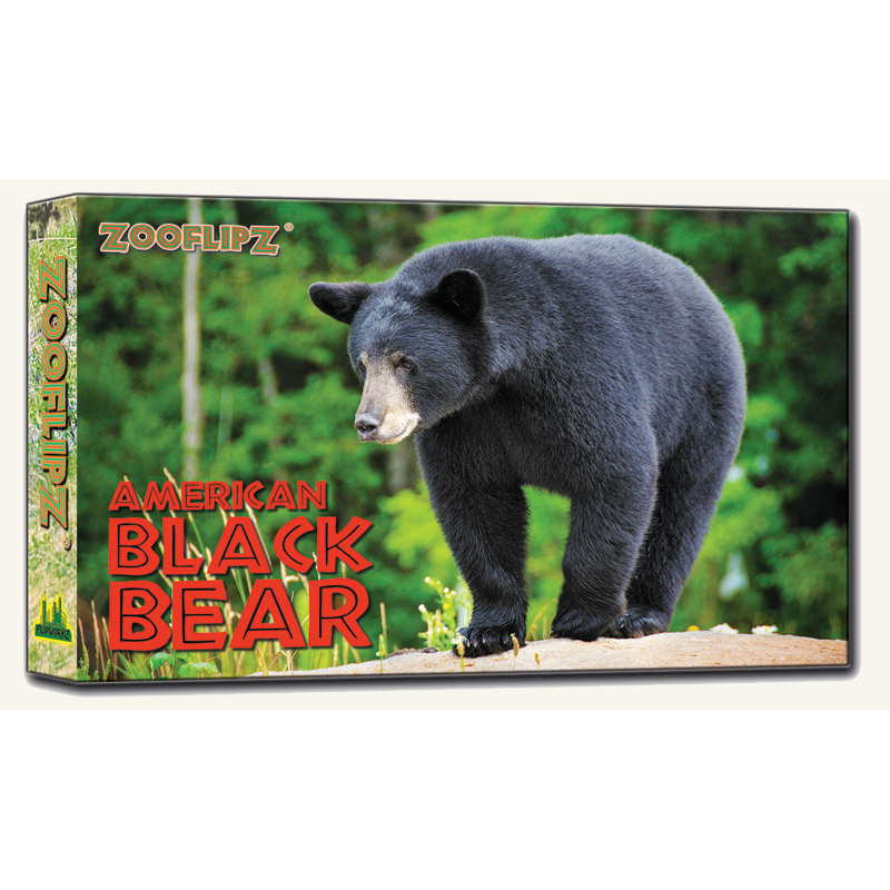 Black Bear Flipbook