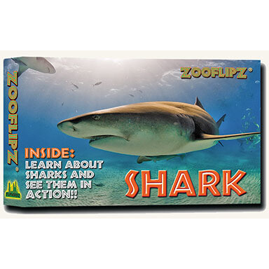 Shark Flipbook