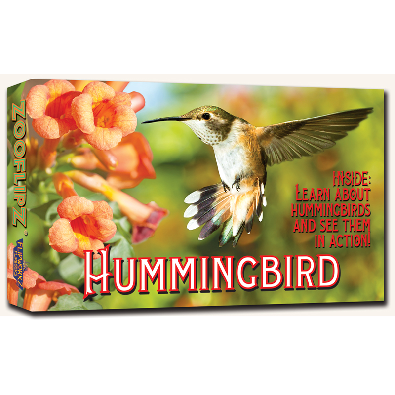 Hummingbird Flipbook