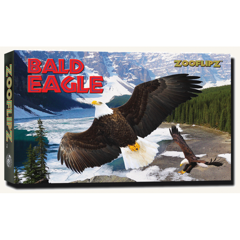 Bald Eagle Flipbook