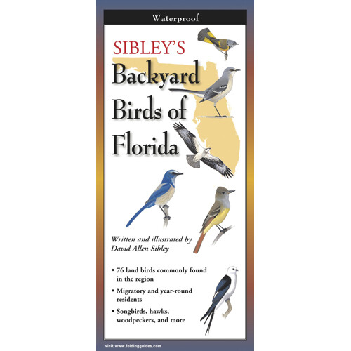 Fold: Backyard Birds of FL Sibley