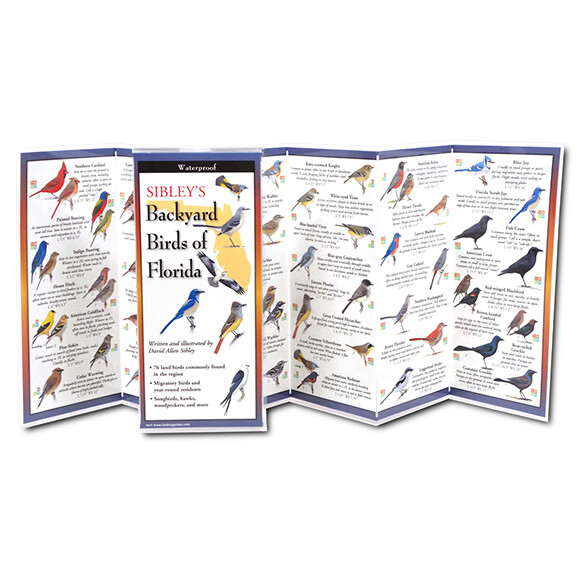 Fold: Backyard Birds of FL Sibley