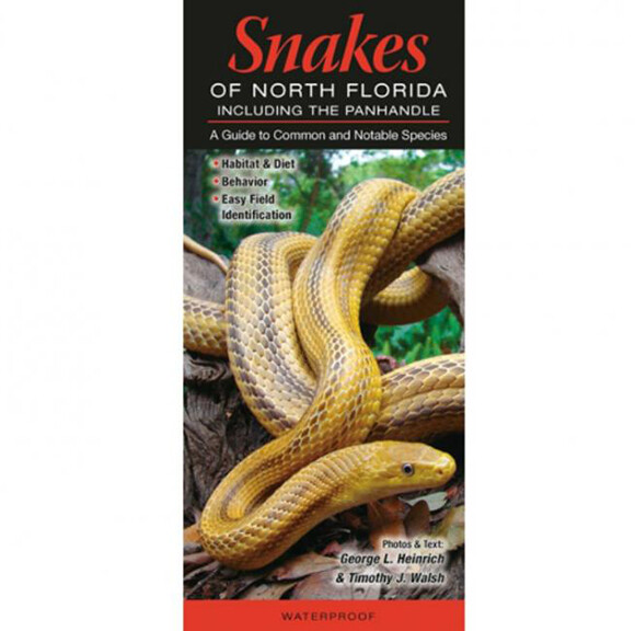 Fold: Snakes of N FL
