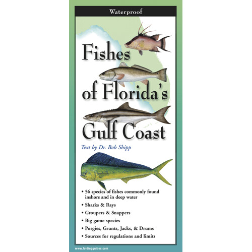 Fold: Fishes FL Gulf Coast