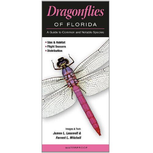 Fold: Dragonflies of FL