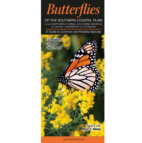 Fold: Butterflies of the Southern Coastal Plain