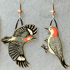 J-126B Red-bellied Woodpecker