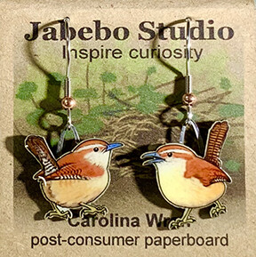 J-251 Carolina Wren