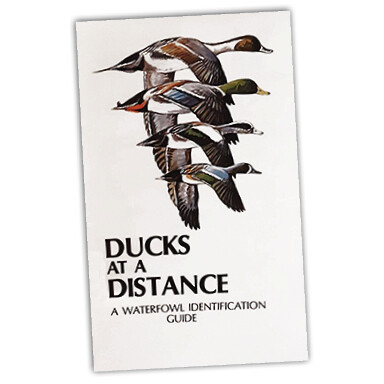 Ducks at a Distance