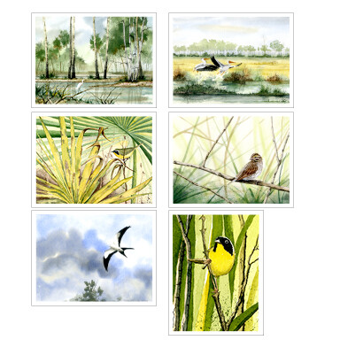 A Refuge Portfolio Notecards