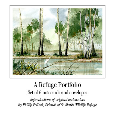 A Refuge Portfolio Notecards