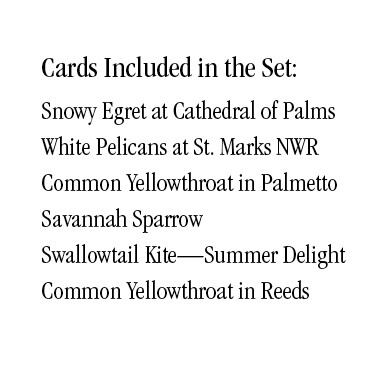 A Refuge Portfolio Notecards