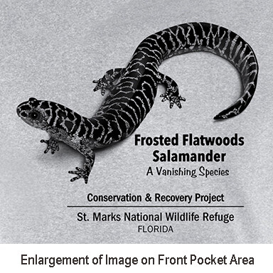 F F Salamander Adult T