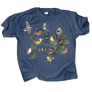 767 Eastern Birds Adult T