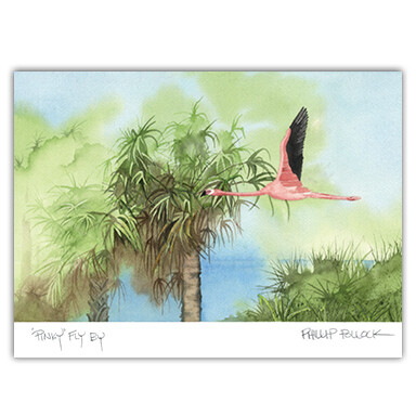 &quot;Pinky&quot; Fly By - box of 6