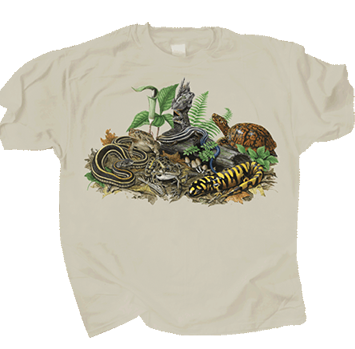 473 Backyard Herps