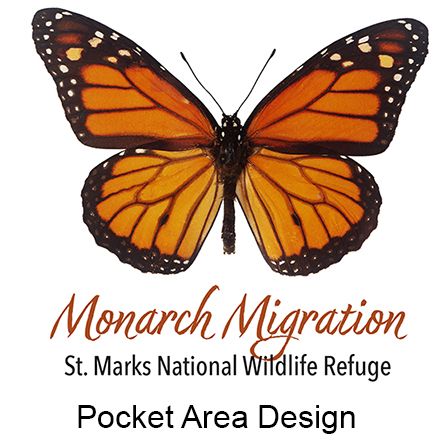 Monarch Pkt Area - Lt Blue