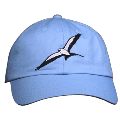 013 Swallowtail Kite Cap
