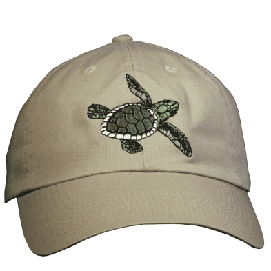 408 Sea Turtle Cap