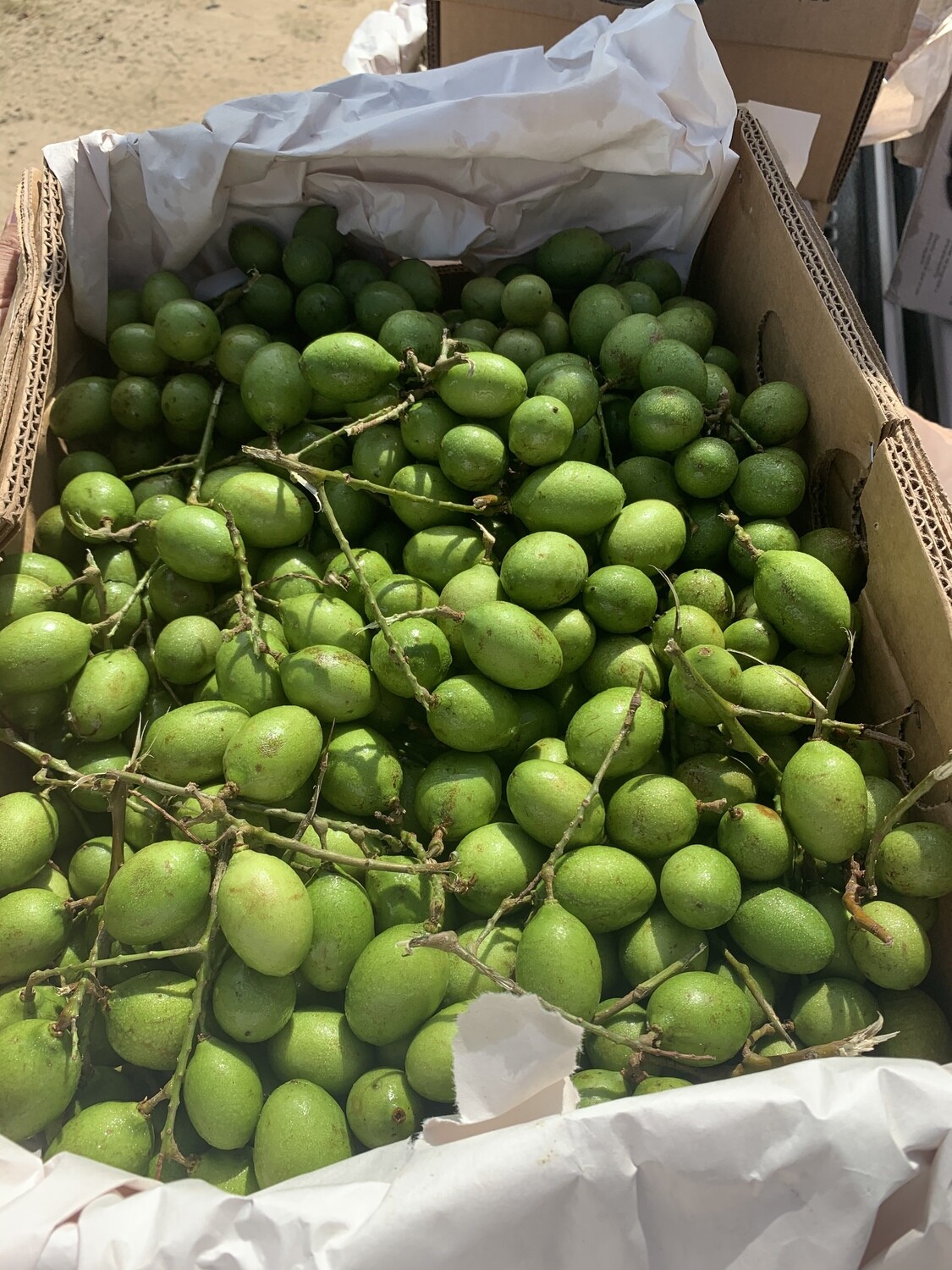Spanish Lime  / Gueneps | Mamoncillo