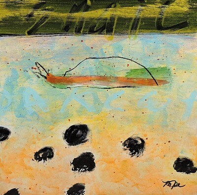 "At a Snails Pace" by Mamie Jo