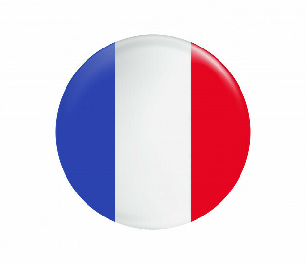 CURSO DE FRANCÉS UN AÑO