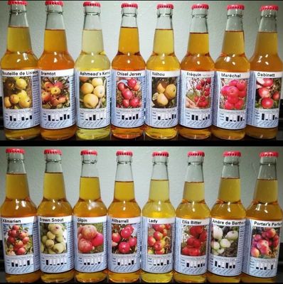 Cider Apple Variety Tasting Kit - Cider Maker Resource
