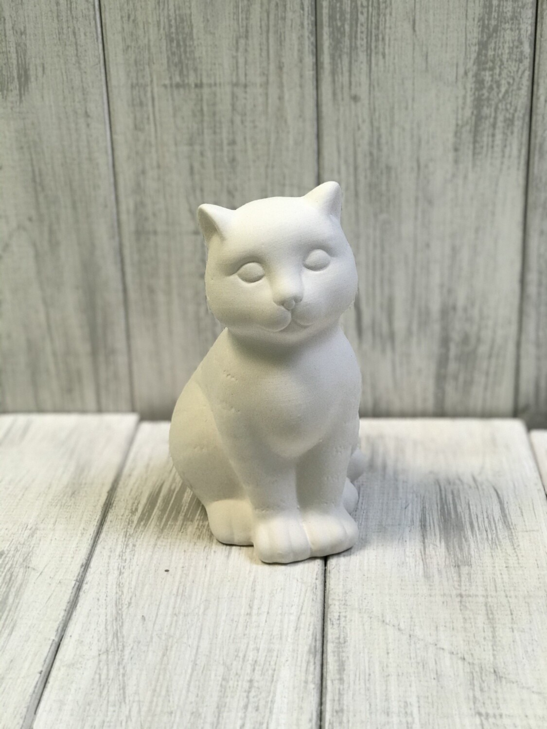 Cat - Tabby Sitting Cat - Tabby Sitting