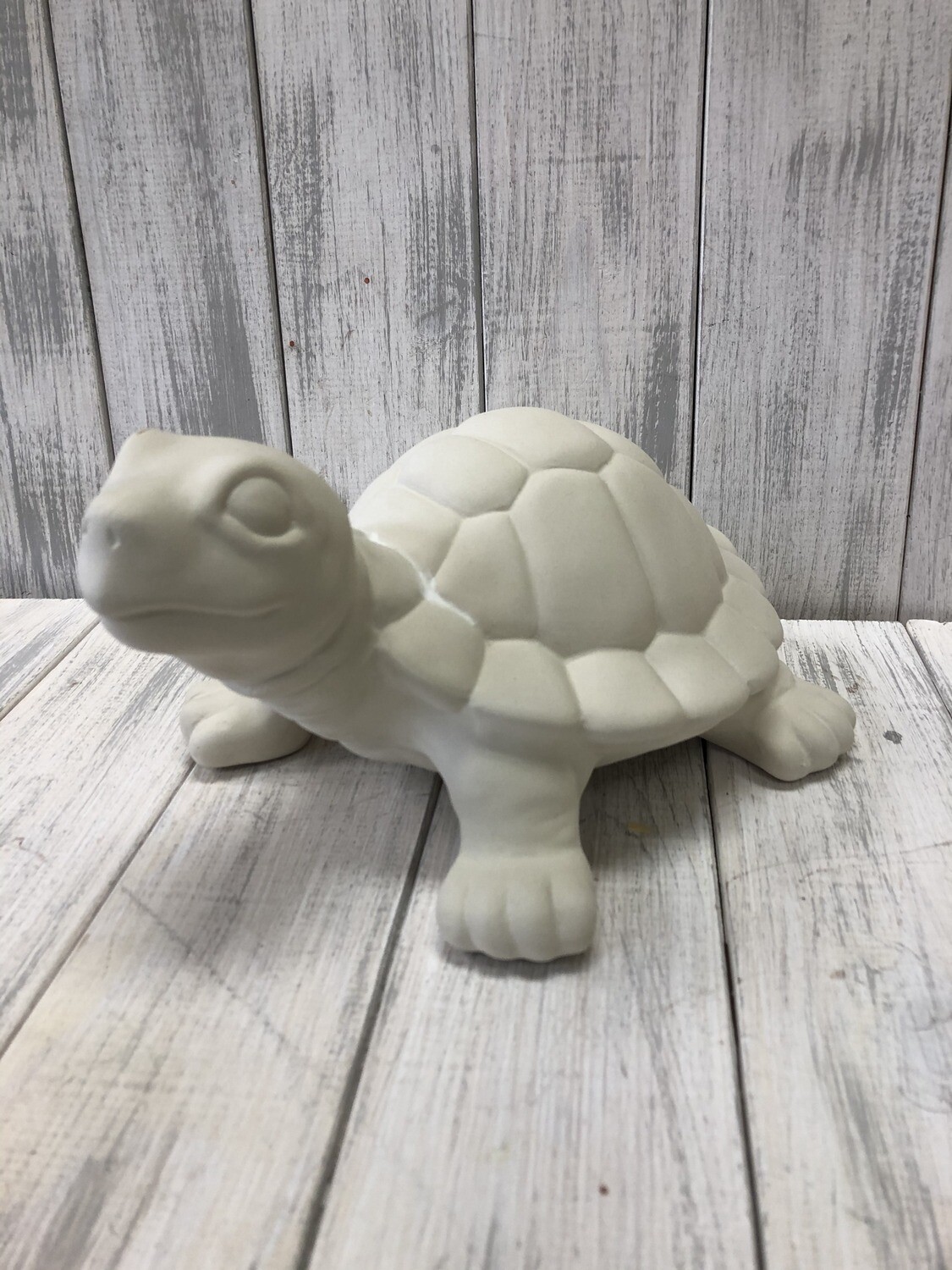 Garden Turtle Garden Turtle