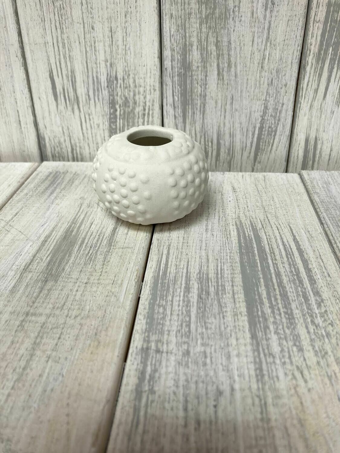 Sea Urchin Jar With Cork Sea Urchin Jar With Cork