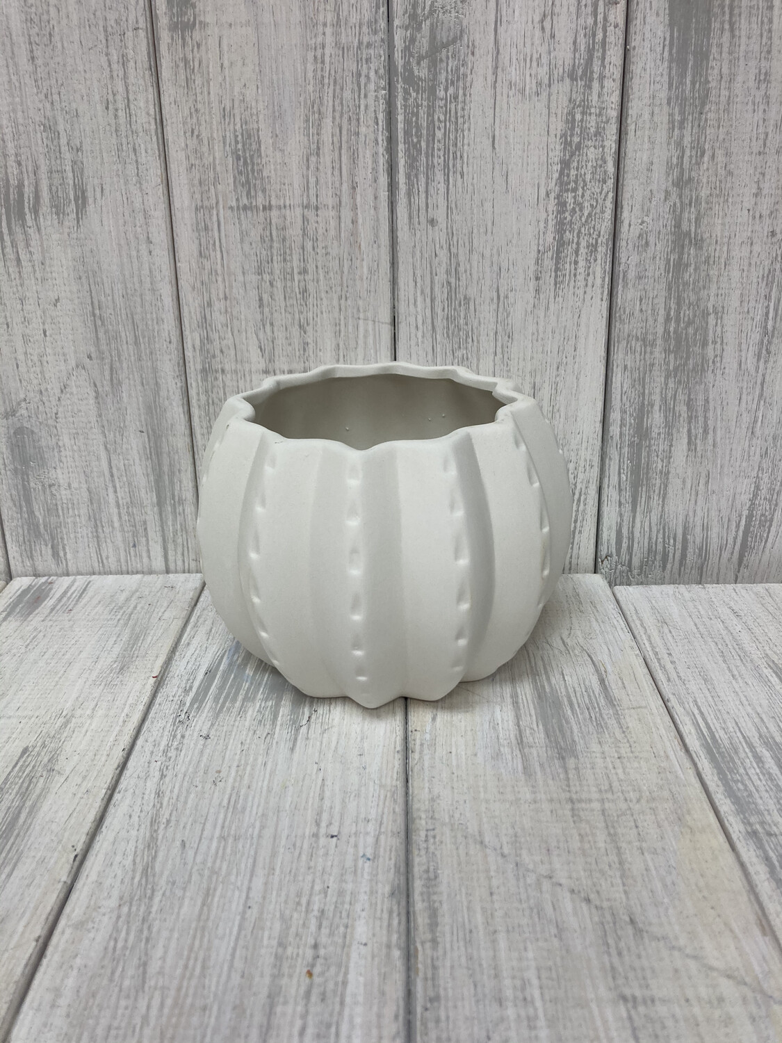 Cactus Planter Cactus Planter