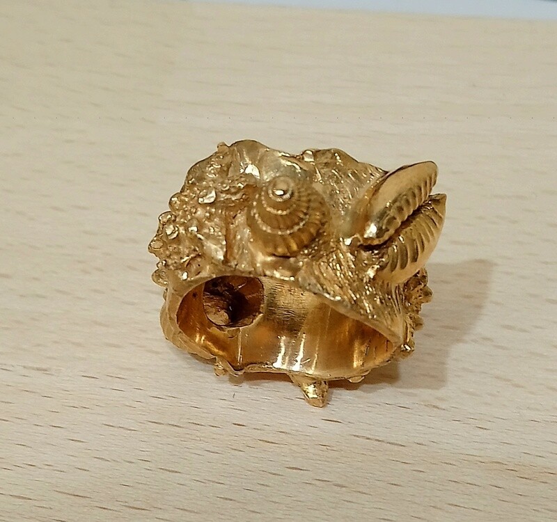 Anello a fascia, &quot;Tesori del Mare&quot; in bronzo, pieno.