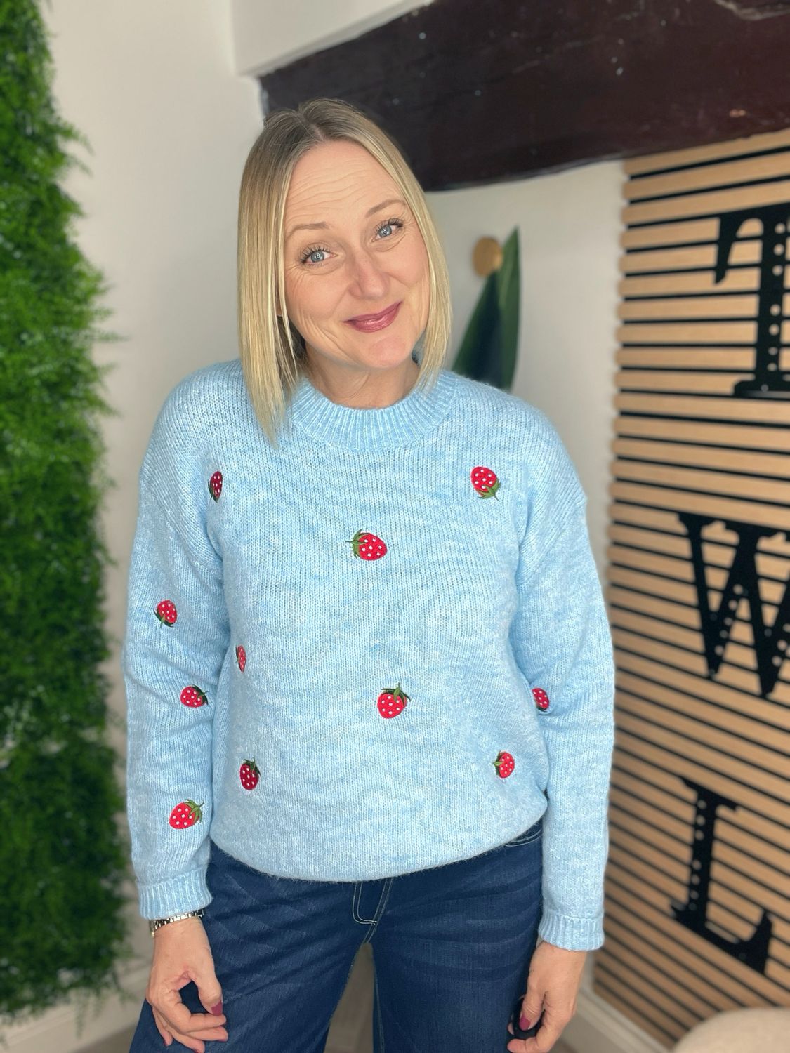 Strawberry Jumper - Blue & Red