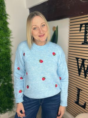 Strawberry Jumper - Blue & Red