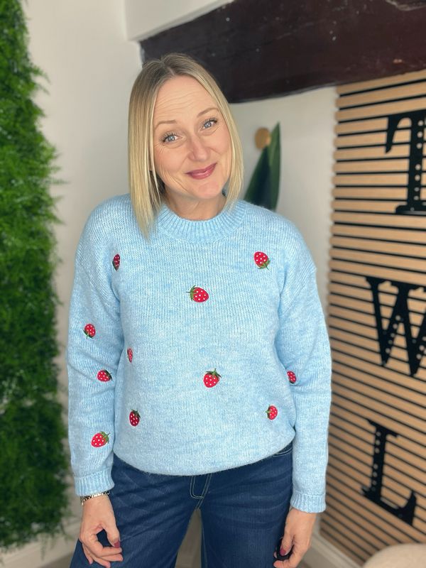 Strawberry Jumper - Blue & Red