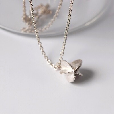 COLLIER GRAINE en argent 925