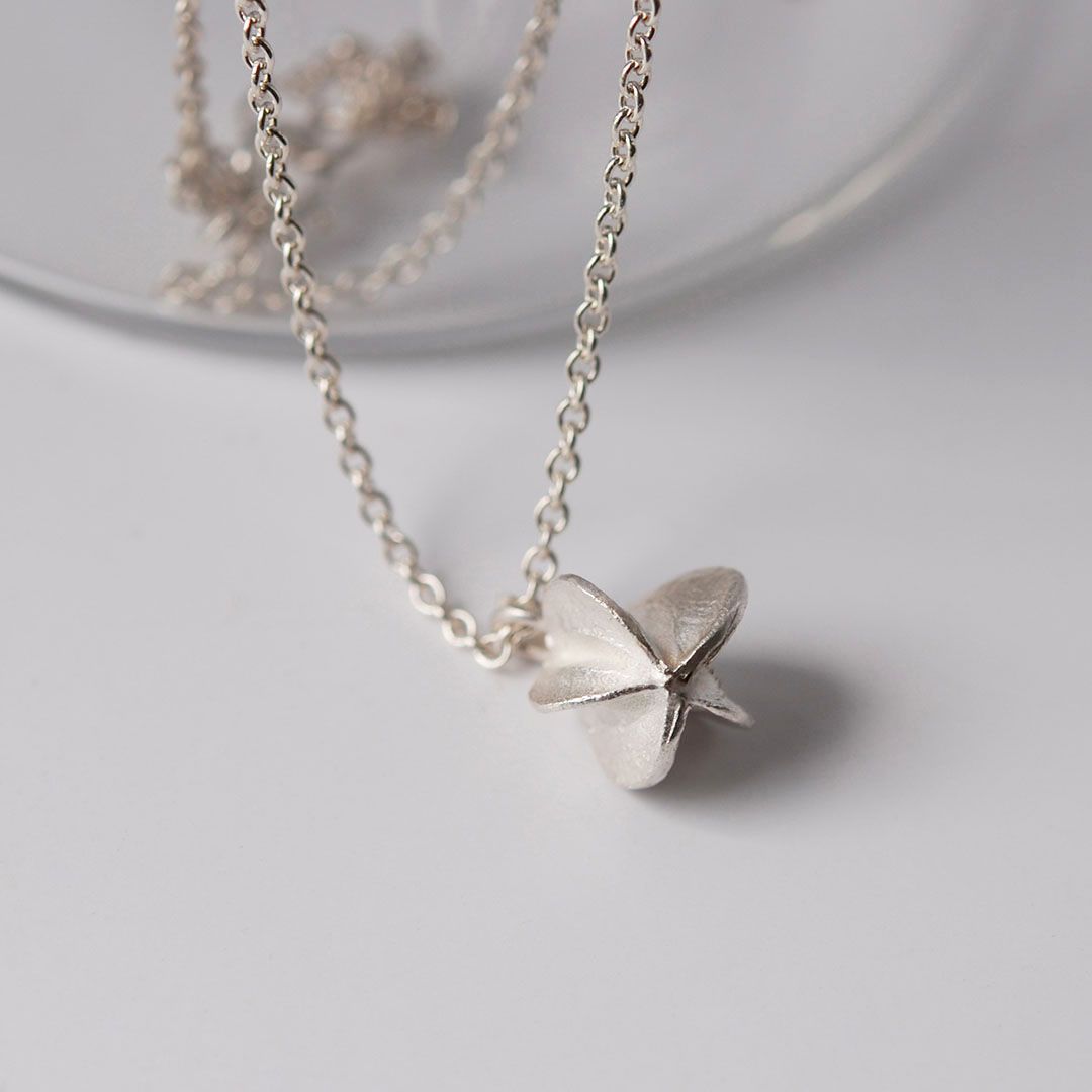 Pendentif Graine en Argent 925 avec chaîne forçat