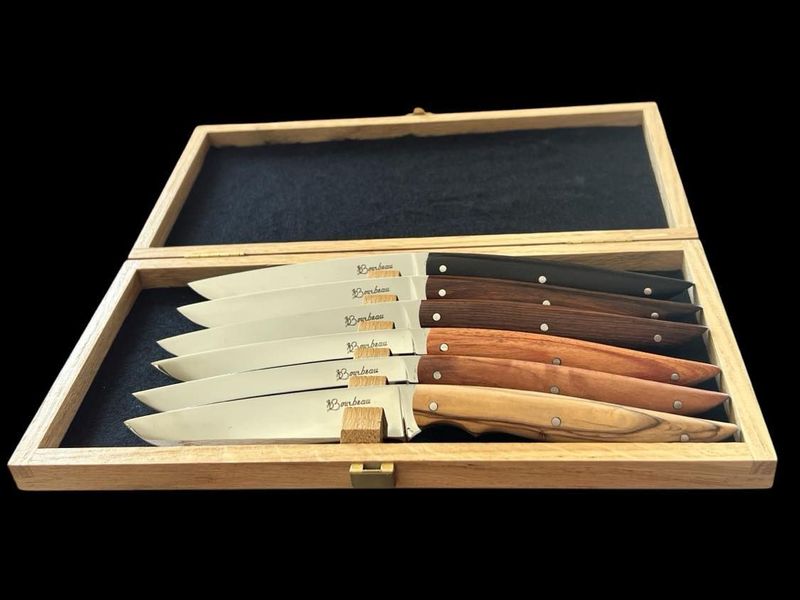 ENSEMBLE COUTEAU DE TABLE 6 PIECES