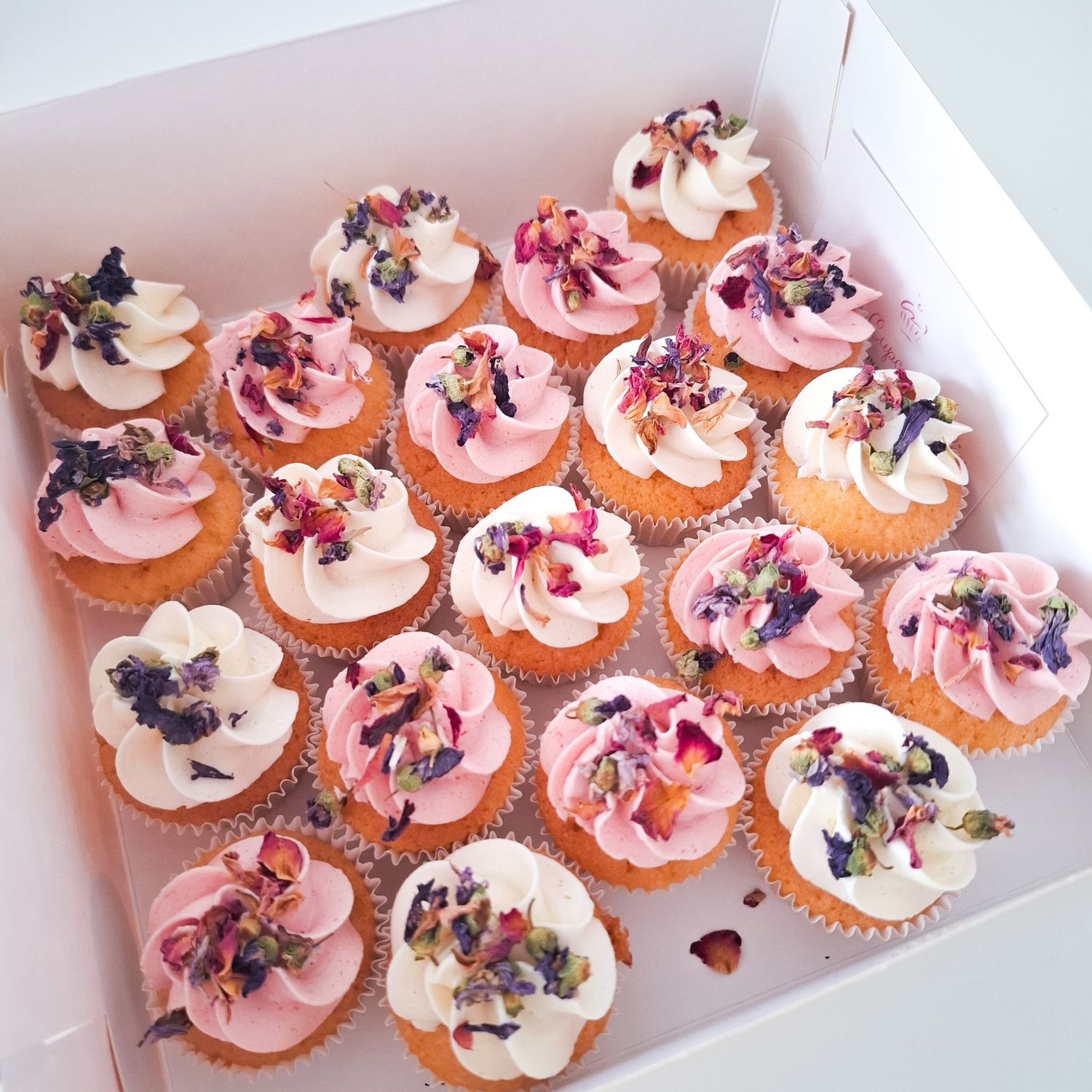 CUPCAKE MINI - Bloesem (vanaf 20st) CUPCAKE MINI - Bloesem (vanaf 20st)