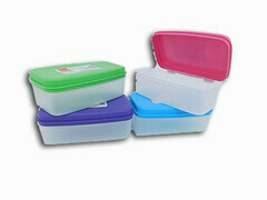 Plastic Microwave Hinged Box W. Lid .55LTropical Mix