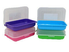 Plastic Lunch Box- Bright mix