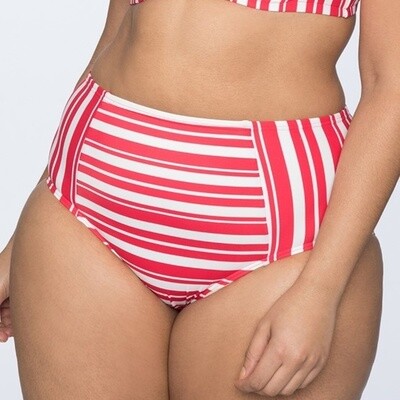 Eloquii Striped Bikini Bottom STR