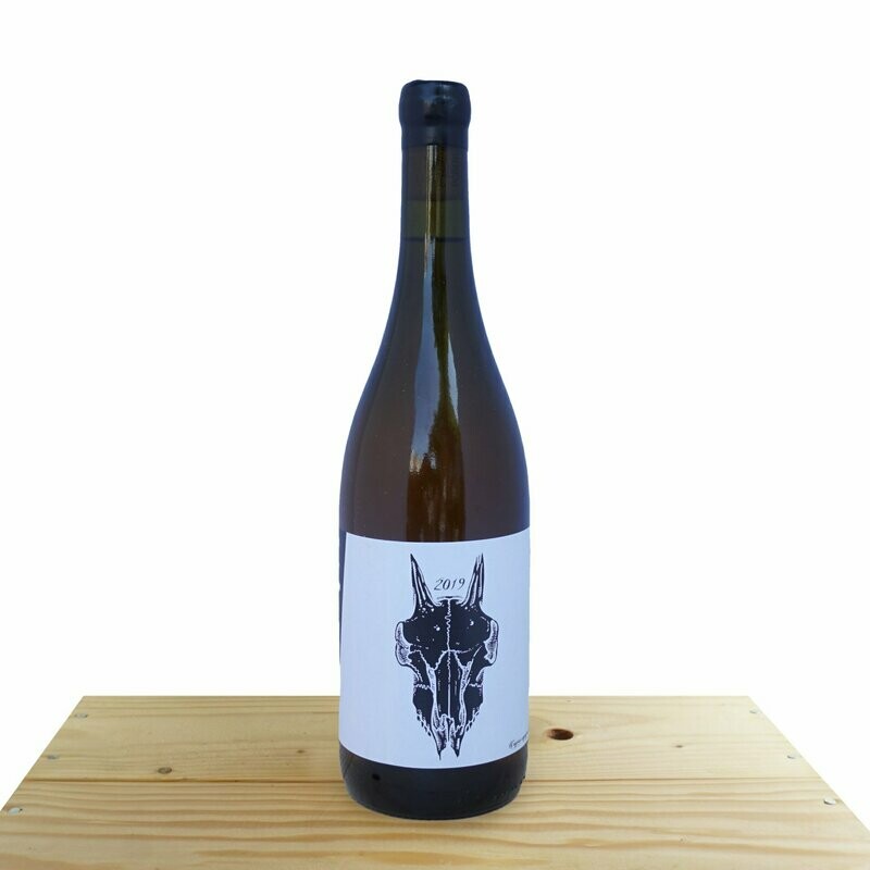 Trebbiano Orange - Podere San Biagio (2019)