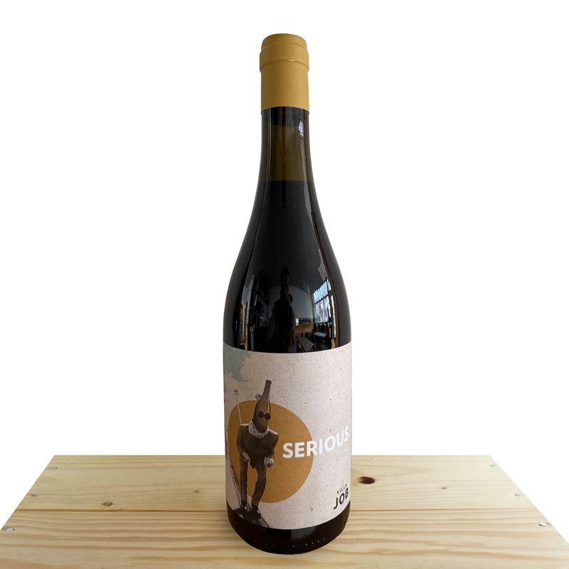 Serious 2020 - Villa Job