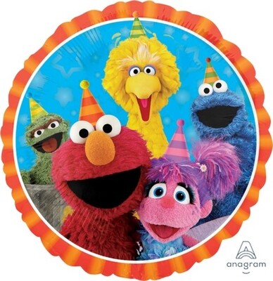 Sesame Street Party