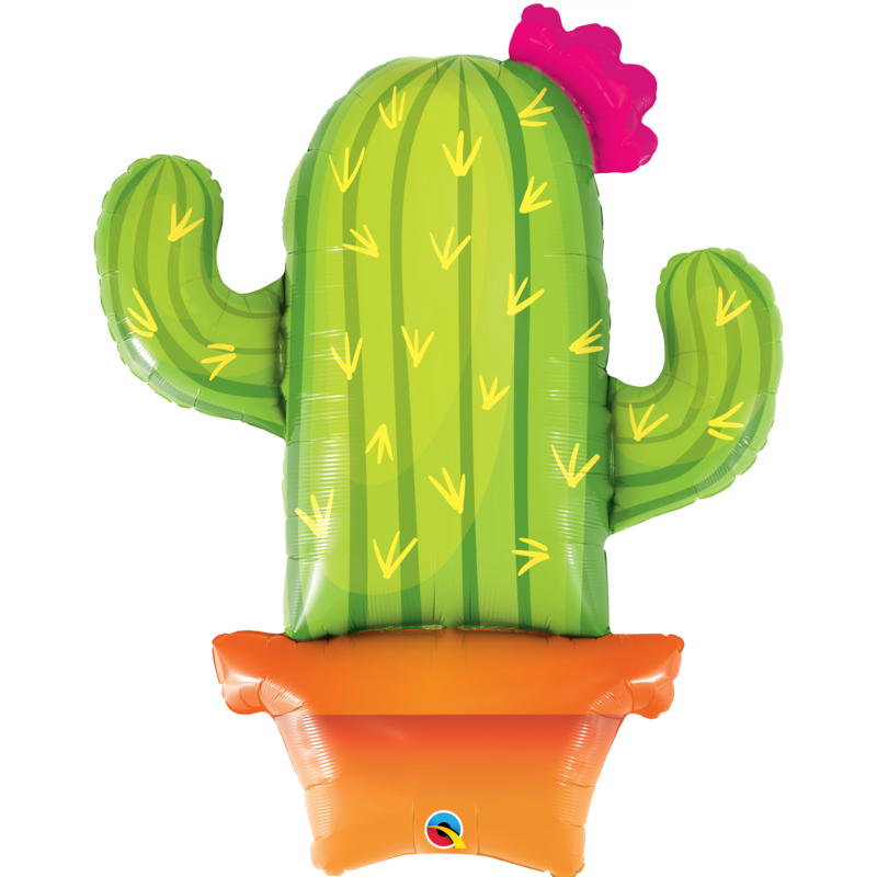 Potted Cactus