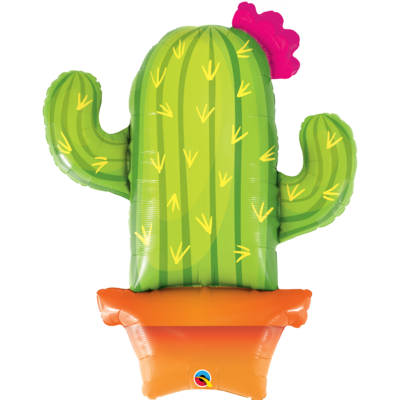 Potted Cactus