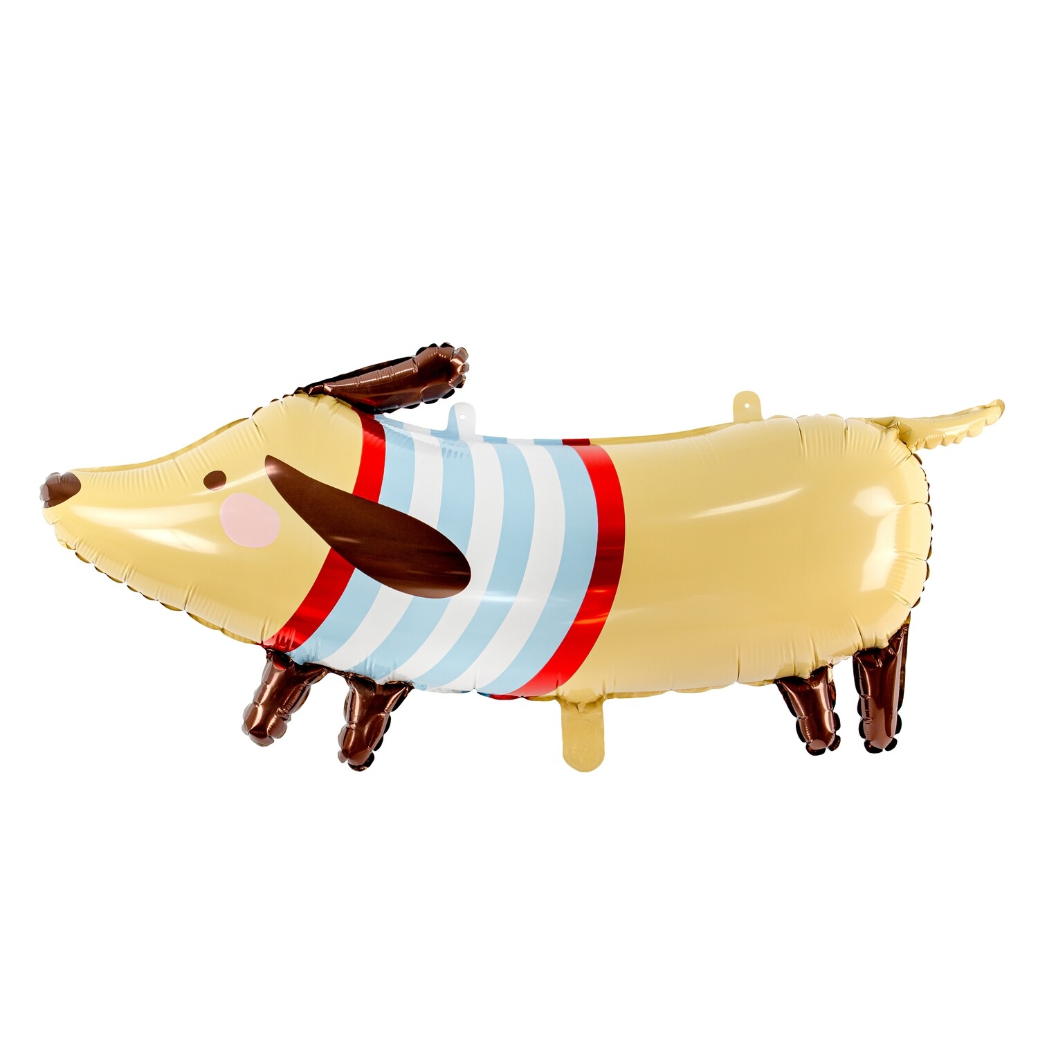 Dachshund